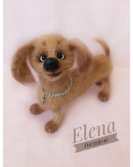 IMG_20220616_070352_036.jpg (201.98 КБ) 6441 просмотр Таксик связан по МК Веры Терекбаевой