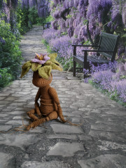 1.jpeg (286.32 КБ) 5653 просмотра Таинственная мандрагора