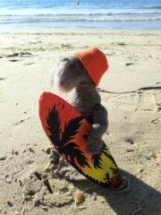 QrAJeDrI3vU.jpg (317.2 КБ) 6861 просмотр #морж Иванович