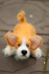 QBo4JObWyRg.jpg (105.25 КБ) 5851 просмотр #коржик Риччи