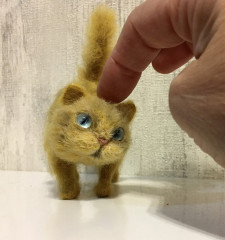 F1DEEA02-EB3F-481F-99DC-C9B13BC5BF0B.jpeg (206.25 КБ) 6141 просмотр По итогам онлайна Татьяны Коротких «Кошки-взъерошки»