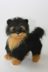 IMG_1167.JPG (115.06 КБ) 5384 просмотра #миниатюрный шпиц