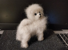 5.10.22-3.jpg (295.65 КБ) 5360 просмотров #миниатюрный шпиц