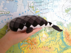 IMG_20221016_114038.jpg (266.15 КБ) 6212 просмотров #рыба-кит