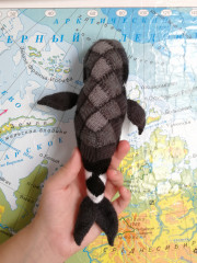 IMG_20221016_113929.jpg (253.34 КБ) 5560 просмотров #рыба-кит