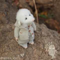 IMG_5867.JPG