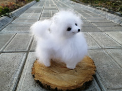 IMG_20221022_173813.jpg (218.43 КБ) 5227 просмотров #миниатюрный шпиц