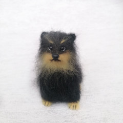 IMG_20221016_144441-01.jpeg (142.26 КБ) 5155 просмотров #миниатюрный шпиц