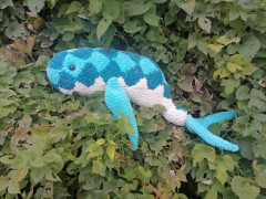 IMG_20221107_143742.jpg (314.02 КБ) 6385 просмотров #рыба-кит