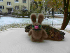 P1020717.jpeg (198.17 КБ) 5039 просмотров #пухляш и раббит