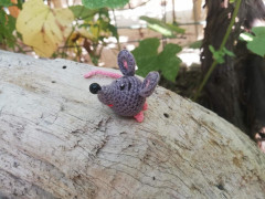 IMG_20221121_063039.jpg (201.41 КБ) 5725 просмотров Мышка малышка