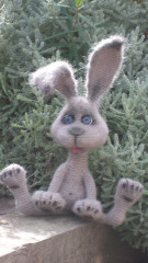 20221125_131140.jpg (172.18 КБ) 6645 просмотров #кролик Эш