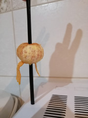 IMG_20221207_204901.jpg (101.23 КБ) 3994 просмотра Зайчик впервые в кафе для взрослых