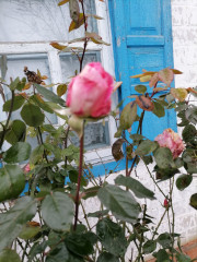 IMG_20221209_132817.jpg