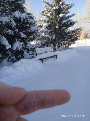 IMG_20221209_133107_1.jpg (230.01 КБ) 3014 просмотров Это не фак, это указательный палец))))) ващпе фоткать одной рукой не удобно.