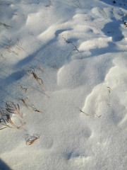 IMG_20221210_143128.jpg (235.77 КБ) 3300 просмотров это рядом с домом снежок