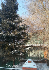 Polish_20221210_150822146.jpg (409.88 КБ) 3300 просмотров елочка у почты