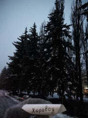 Ёлочки