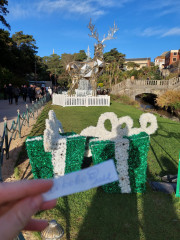 20221210_133327.jpg (359.74 КБ) 3816 просмотров Нижние сады Борнмута