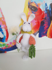 20230227_134113.jpg (178.28 КБ) 7229 просмотров #кролик джентльмен