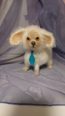 20230302_184550.jpg (83.99 КБ) 6754 просмотра Зай Чих по мк Татьяны Коротких