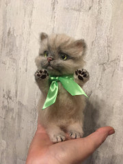 799368FD-5A10-400B-9260-A3B49D71592F.jpeg (168.28 КБ) 5719 просмотров По МК Татьяны Коротких