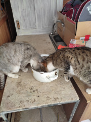 IMG_20230220_154300.jpg (256.67 КБ) 9795 просмотров IMG_20230220_154300.jpg