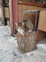 IMG_20230220_155059.jpg (230.89 КБ) 9795 просмотров IMG_20230220_155059.jpg