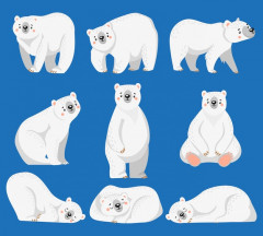 cartoon-polar-bear-white-bears-arctic-wild-animal-and-snow-bear-illustration_102902-1733.jpg