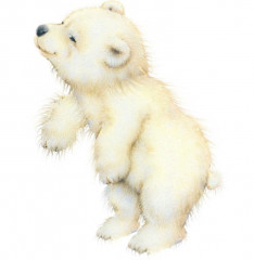 мб.jpg (58.26 КБ) 6038 просмотров Миша белый