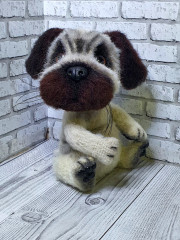 20230328_224908.jpg (311.08 КБ) 7655 просмотров #щенок мопса