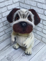 20230328_224712.jpg (321 КБ) 7655 просмотров #щенок мопса