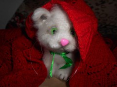 IMG_20220404_214050.jpg