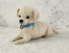 A4A32F99-E309-4942-AF4D-BC89226ABD47.jpeg (143.54 КБ) 11326 просмотров Лабрик из онлайна «Лежебоки» с Татьяной Коротких