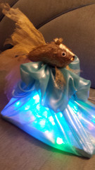 20201206_205419.jpg (149.49 КБ) 11310 просмотров Золотая рыбка для исполнения желаний!