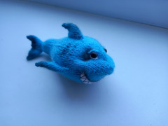 20230708_141252.jpg (110.92 КБ) 10568 просмотров Красавица акула