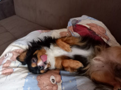 20221002_112346.jpg (137.85 КБ) 7521 просмотр Чих Реня