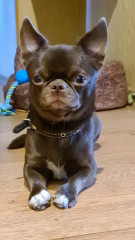 20221017_150830.jpg (164.82 КБ) 7501 просмотр Арчик