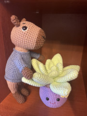 IMG_6592.jpeg (186.34 КБ) 8739 просмотров Капибара- это любовь!!!