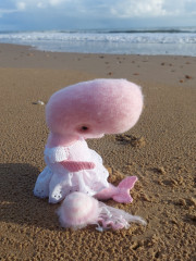 20231106_144253.jpg (262.64 КБ) 10323 просмотра #кашалот