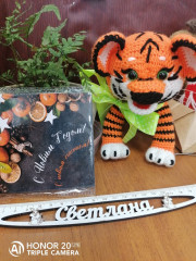 IMG_20211230_082937.jpg (254.93 КБ) 6920 просмотров Мой тигруля, который охраняет рабочее место