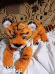 IMG_20211103_233322.jpg (135.6 КБ) 6920 просмотров Мистер Тигр из кампекса связан спицами