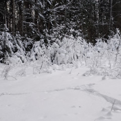 IMG_20231217_135557_021.jpg