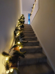 20231211_160100.jpg (164.72 КБ) 5011 просмотров Наша лестница :-)