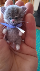 IMG_20210927_135346.jpg (110.81 КБ) 6883 просмотра Кот Дрема