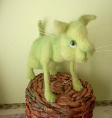 Кот Лайм 2.jpg