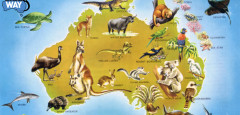 fauna-de-australia.jpg