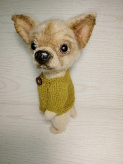 чихуа типа ли-ли 1_2.jpg (163.59 КБ) 16956 просмотров #чихуа лили