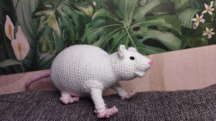 1714474775.jpg (156.14 КБ) 8223 просмотра Крыска