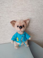 20240507_112334.jpg (129.38 КБ) 1158987 просмотров #чихуа лили